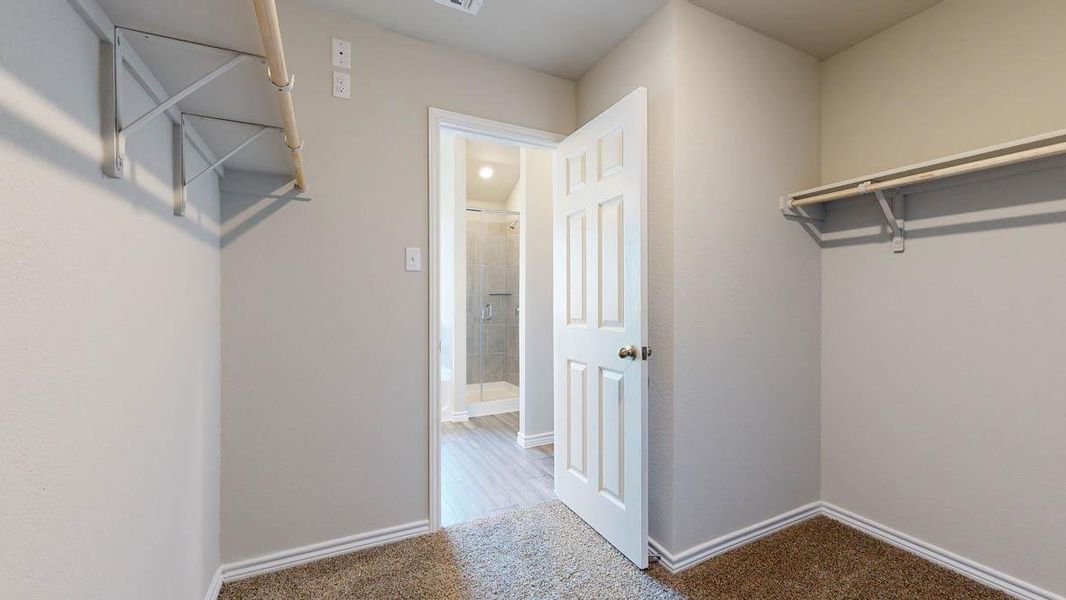 Spacious walk-in closet featuring light-toned walls, contrasting brown carpet, and a white six-panel door opening to a bathroom with wood-finish flooring and a glass-enclosed shower