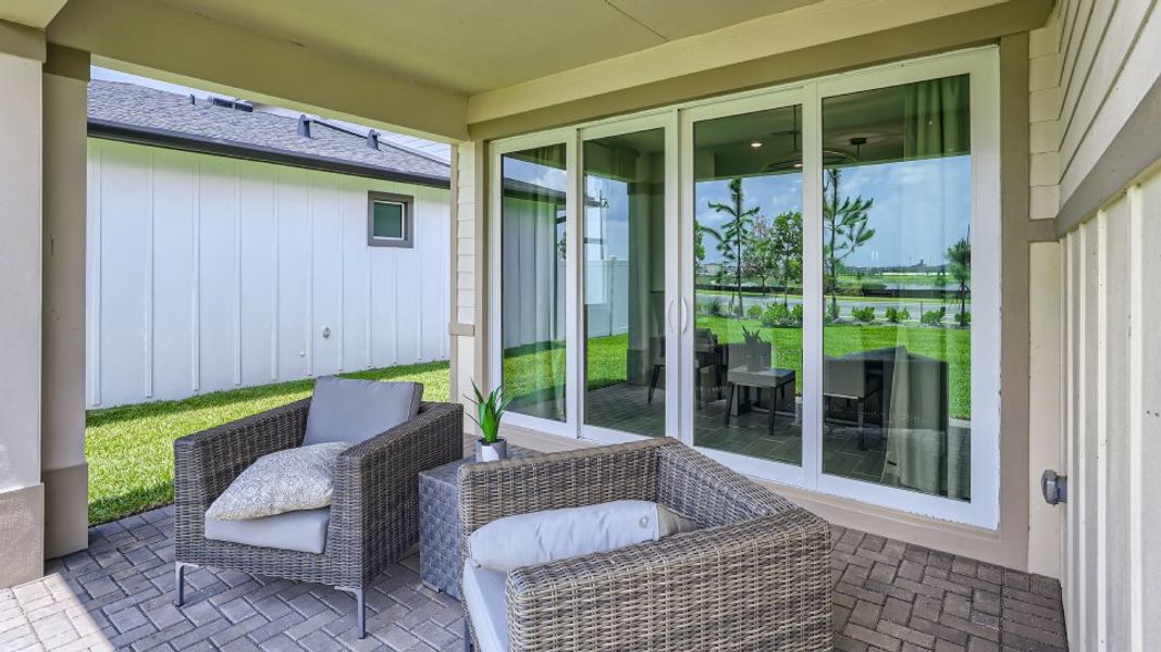 Coriander covered patio