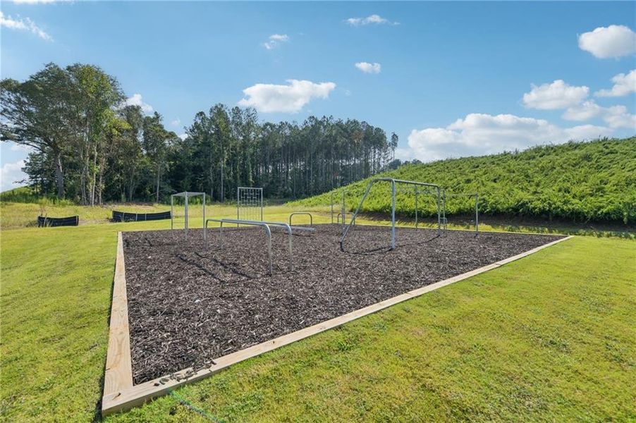 Community amenities in The Hills at Cedar Creek, Winder (Image 54).