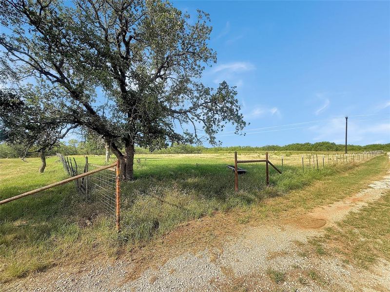 Natural landscape and outdoor views near  in Eastland (Image 22).
