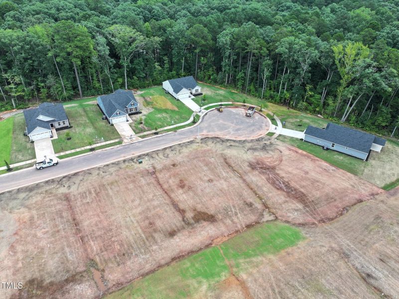 dji_fly_20250711_115308_0142_17522499511 dji_fly_20250711_115308_0142_17522499511