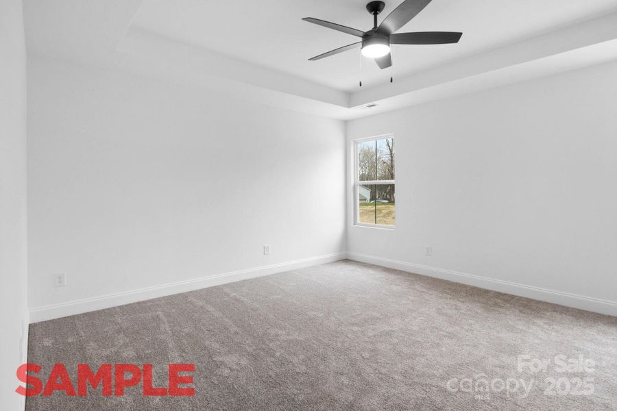 Primary Bd Primary Bd