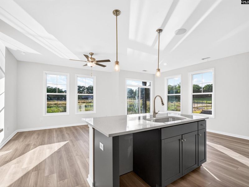 Furnished interior view inside a new home in Dunbar Village, Cayce (Image 9).