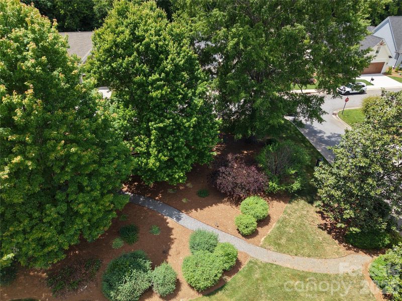 Natural landscape and outdoor views near  in Statesville (Image 39).