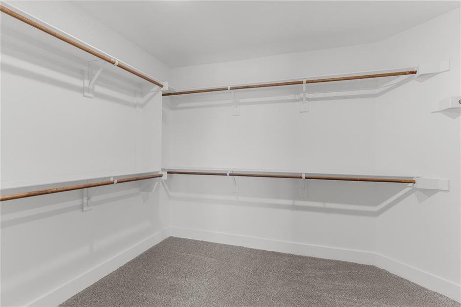 Spacious walk-in closet featuring white walls, white baseboards, and light gray carpet