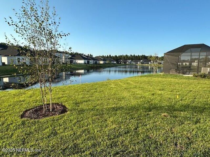 Natural landscape and outdoor views near Holly Landing at SilverLeaf in St. Augustine (Image 14). Natural landscape and outdoor views near Holly Landing at SilverLeaf in St. Augustine (Image 14).