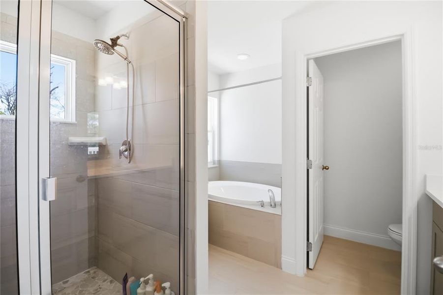 Furnished interior view inside a new home in Blue Diamond , Orlando (Image 47).