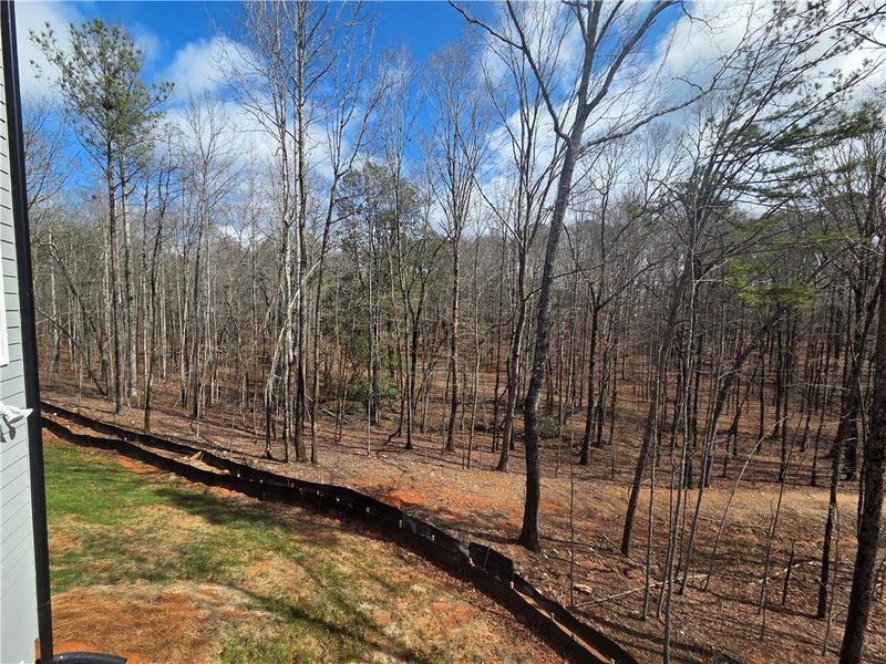 Natural landscape and outdoor views near Benson Estates in Dallas (Image 29).