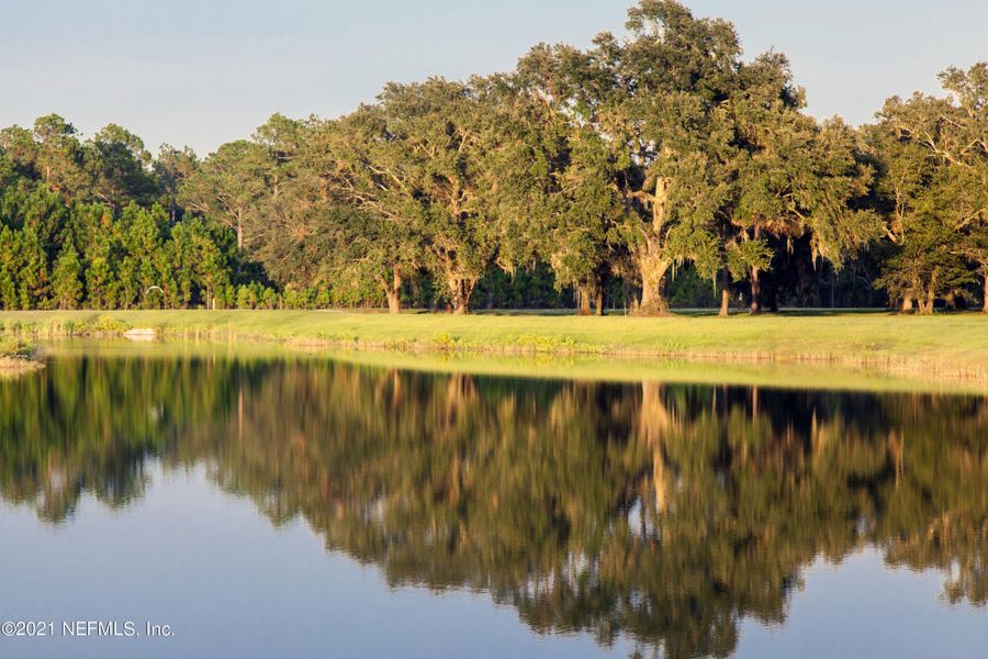 Natural landscape and outdoor views near TrailMark in St. Augustine (Image 28).
