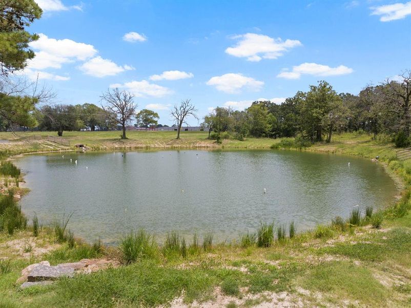Natural landscape and outdoor views near  in Mount Pleasant (Image 19).