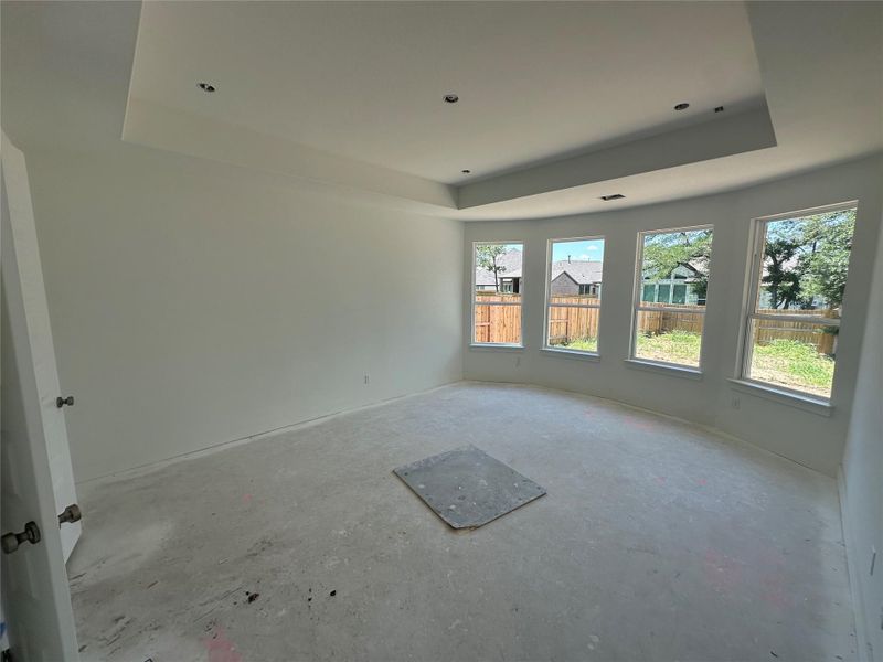 Primary Bedroom with tray ceiling