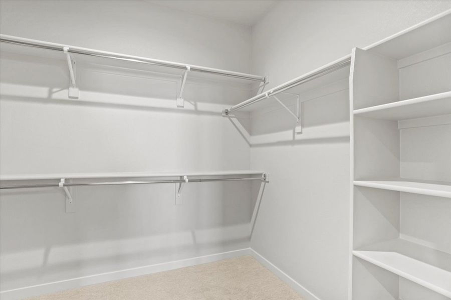 Spacious, unfurnished interior of a new home in Arras Park, Thornton (Image 16).