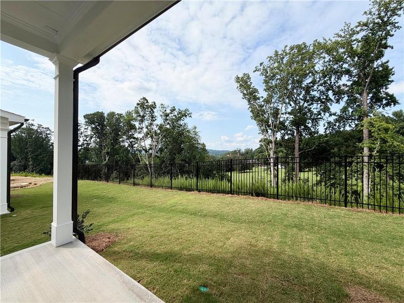 Exterior details and patio area of a home in Palisades Single Family, Cumming (Image 4).