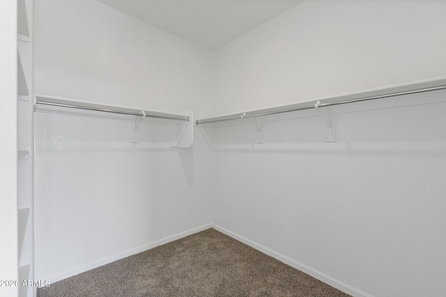 Ironwood #67-20 Ironwood #67-20