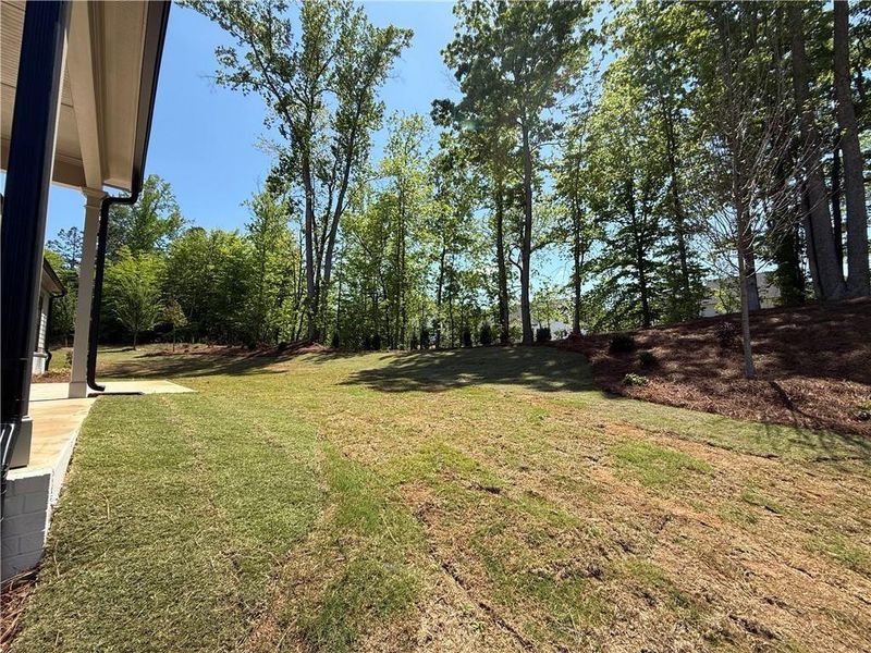 Exterior details and patio area of a home in , Cumming (Image 32).