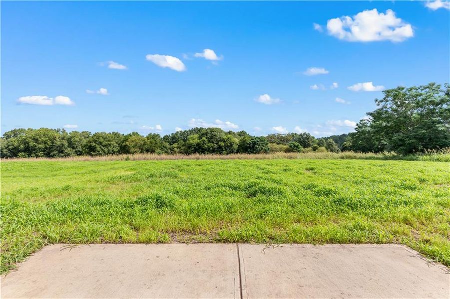 Natural landscape and outdoor views near  in Madison (Image 48).
