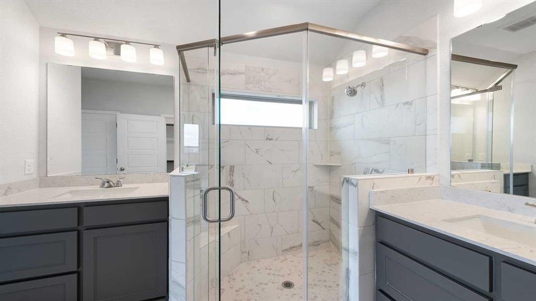 Bathroom with a shower with door and vanity