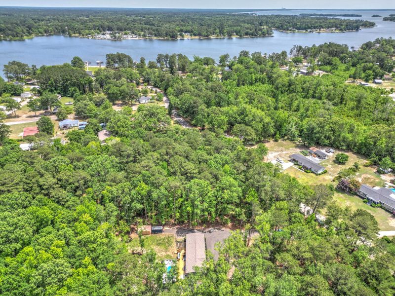 Natural landscape and outdoor views near  in Summerton (Image 50).