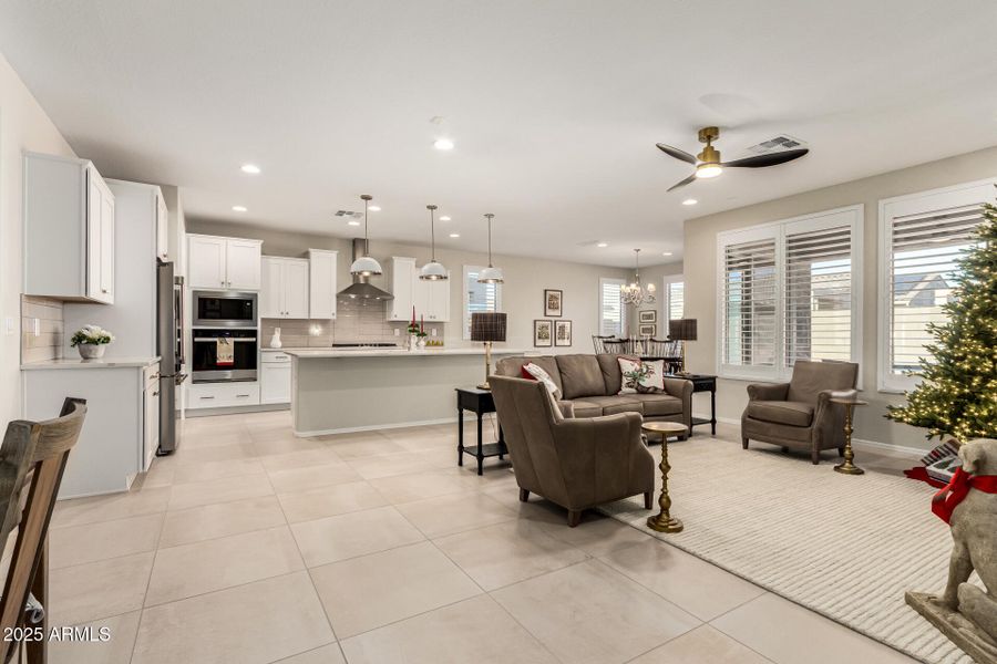 08-Cactus Wren 08-Cactus Wren