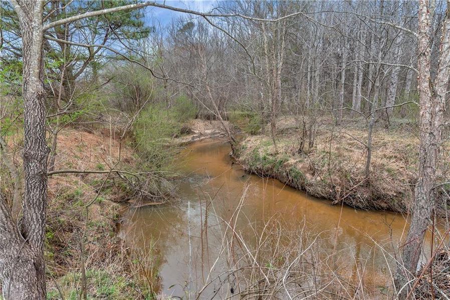 Natural landscape and outdoor views near  in Auburn (Image 49).