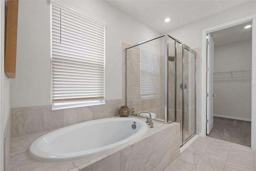 Furnished interior view inside a new home in River Landing, Wesley Chapel (Image 11).