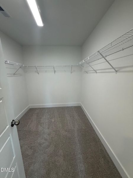 Laurel Lot 39 Primary walk in closet Laurel Lot 39 Primary walk in closet