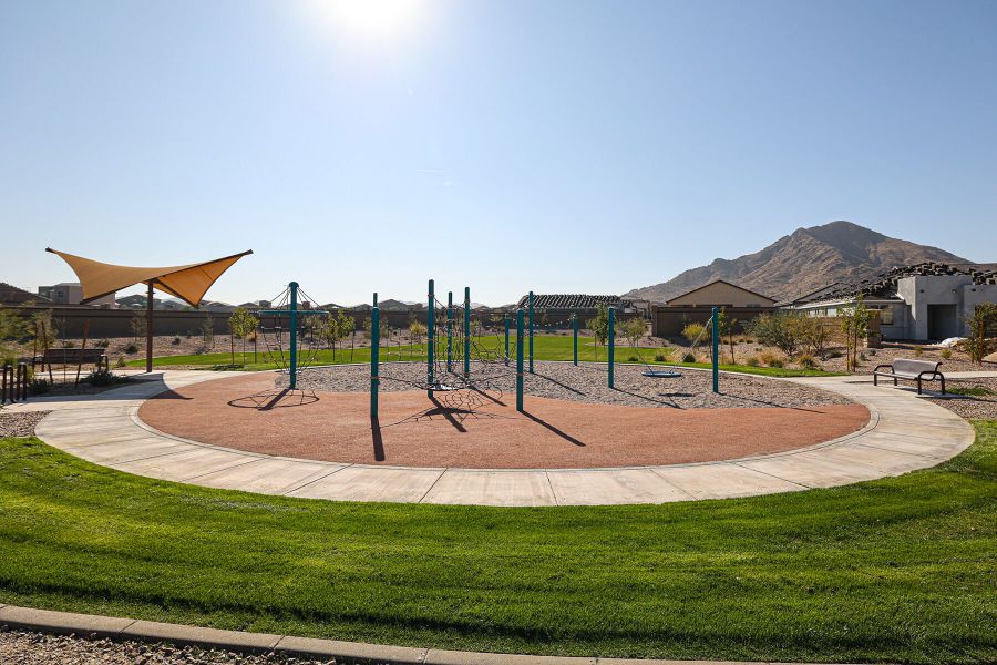 Image 47 representing the Sepia by Mattamy Homes in Pinnacle at San Tan Heights, San Tan Valley, AZ.