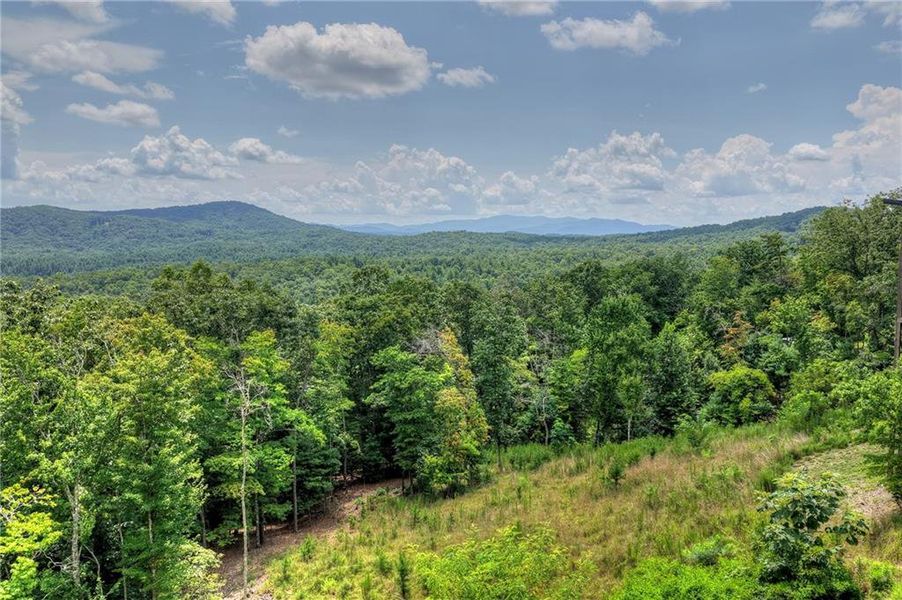 Natural landscape and outdoor views near  in Morganton (Image 40).