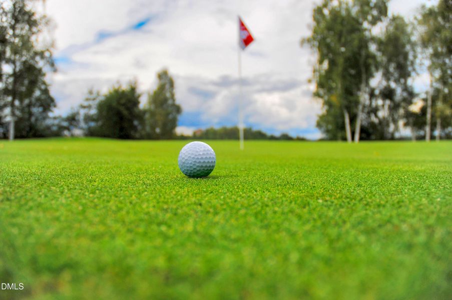 Golf ball on green with flag Golf ball on green with flag