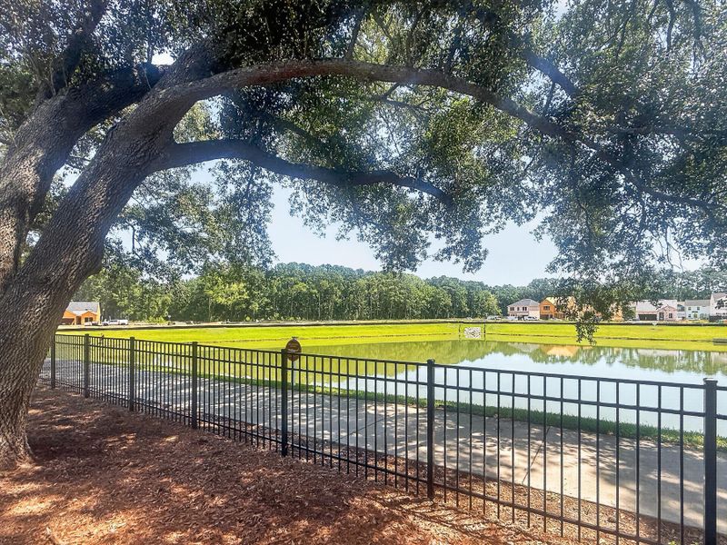 Natural landscape and outdoor views near in Summerville (Image 42). Natural landscape and outdoor views near in Summerville (Image 42).