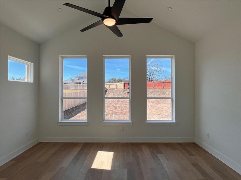 Spare room featuring dark wood-style flooring, ceiling fan, lofted ceiling, and healthy amount of natural light