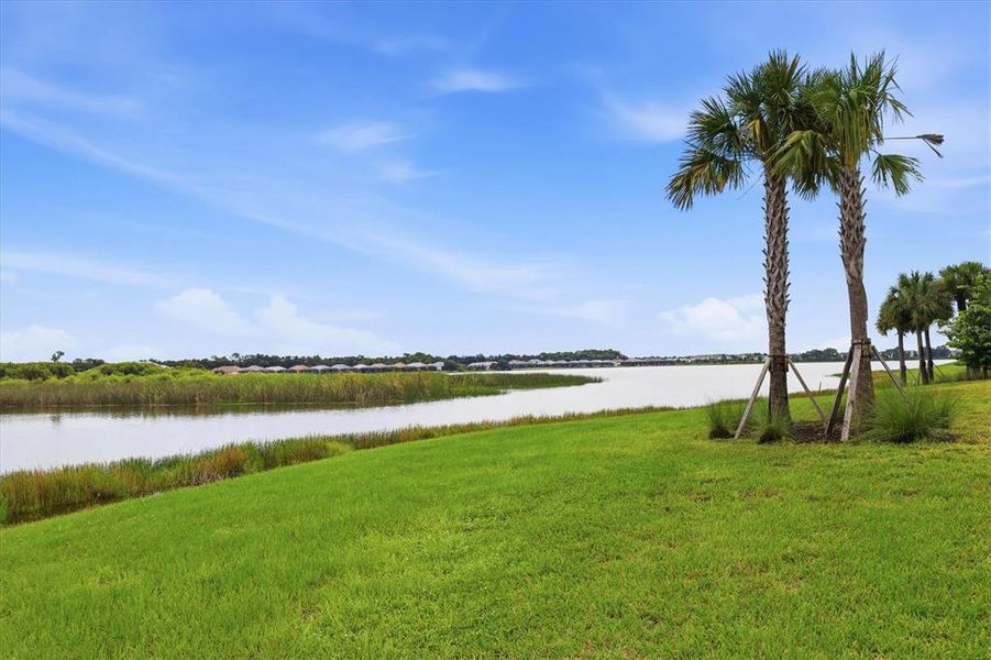 Natural landscape and outdoor views near in Sarasota (Image 29). Natural landscape and outdoor views near in Sarasota (Image 29).