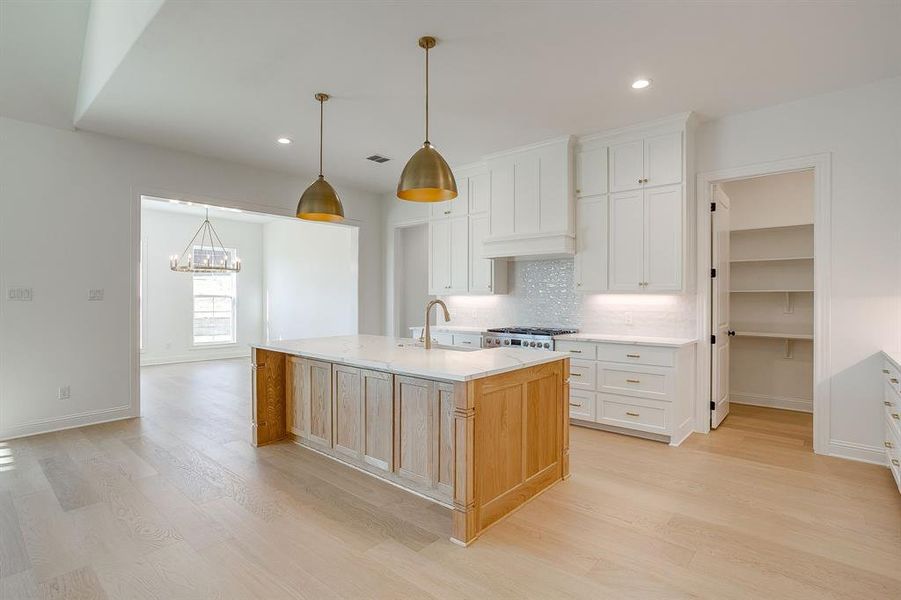 Furnished interior view inside a new home in Whitestone Heights, Benbrook (Image 18).