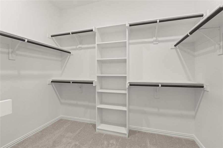 Spacious closet with light colored carpet