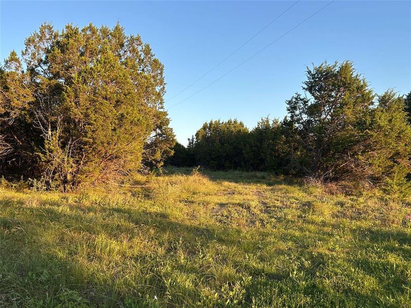 Natural landscape and outdoor views near  in Goldthwaite (Image 12).