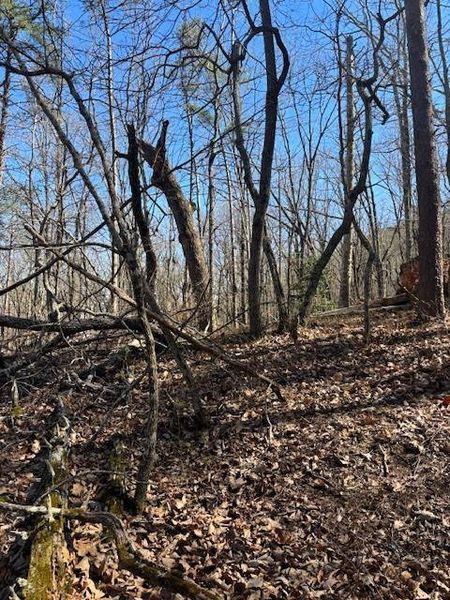 Natural landscape and outdoor views near  in Waleska (Image 5).