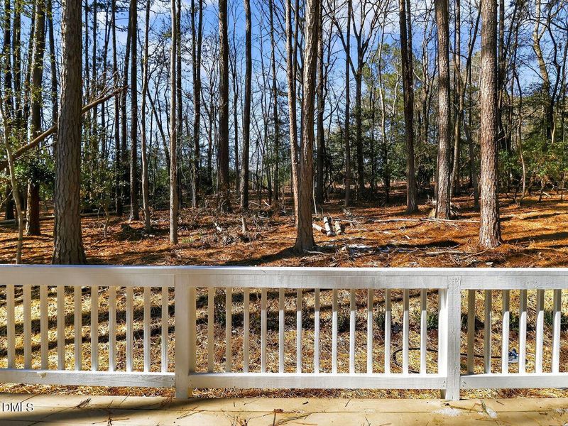 030-1280x960-deck-backyard