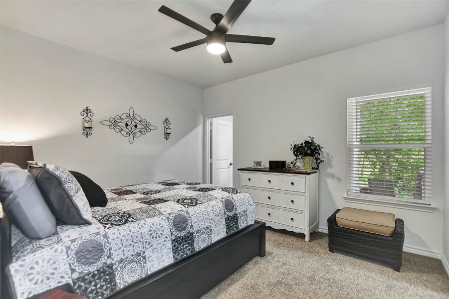 Primary Bedroom overlooks backyard - nature!