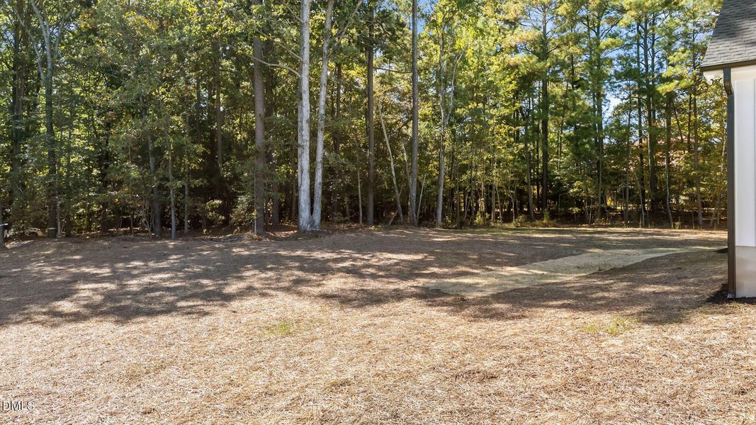 20-web-or-mls-DJI_20250923150859_0512_D