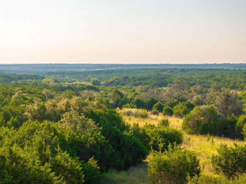 Aerial view at dusk of a wooded view