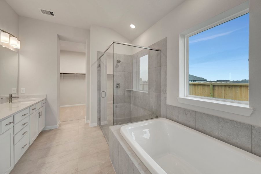 Owner's Bath