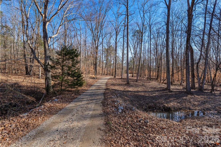 Natural landscape and outdoor views near  in Davidson (Image 32).