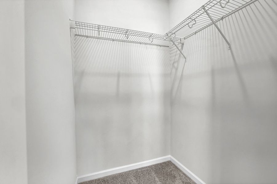 Spacious, unfurnished interior of a new home in River Tide Farms, Bolivia (Image 22).
