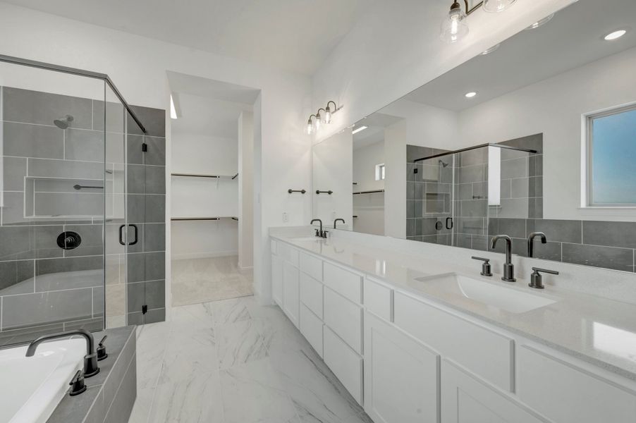 Owner's Bath