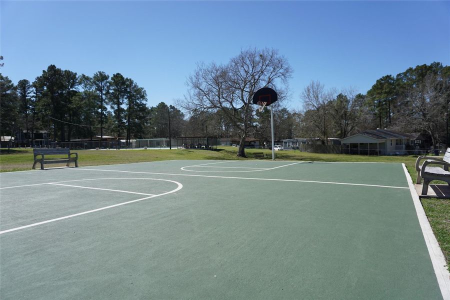 Basket ball court