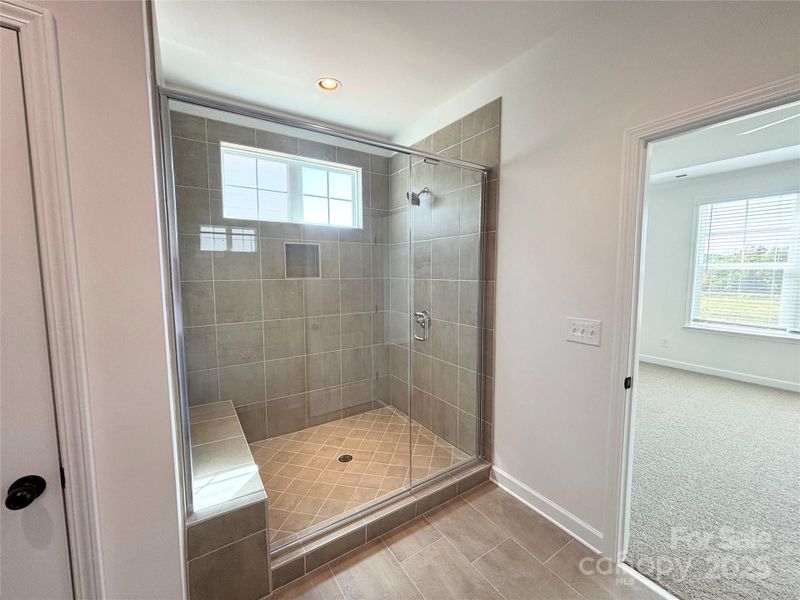 Furnished interior view inside a new home in Brighton Park, Mount Pleasant (Image 4).