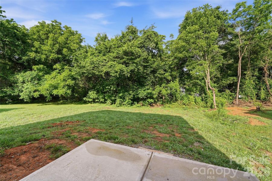Natural landscape and outdoor views near  in Statesville (Image 21).