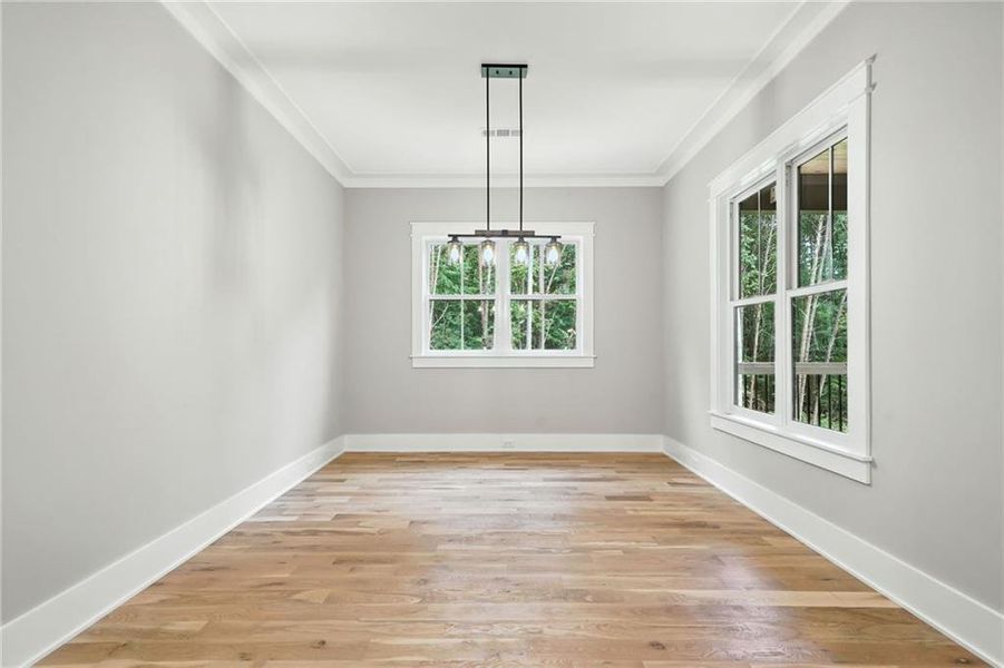 Spacious, unfurnished interior of a new home in , Ball Ground (Image 44).