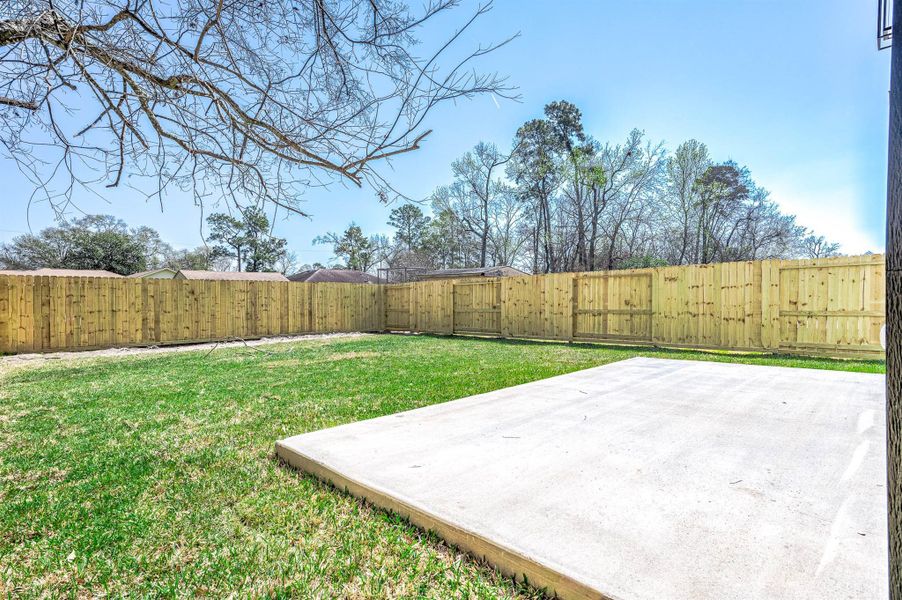 Spacious backyard featuring a concrete patio slab, brand-new fence, and plenty of space for outdoor living.