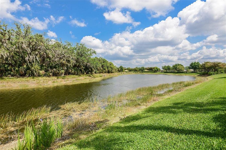 Natural landscape and outdoor views near  in Fort Myers (Image 35).
